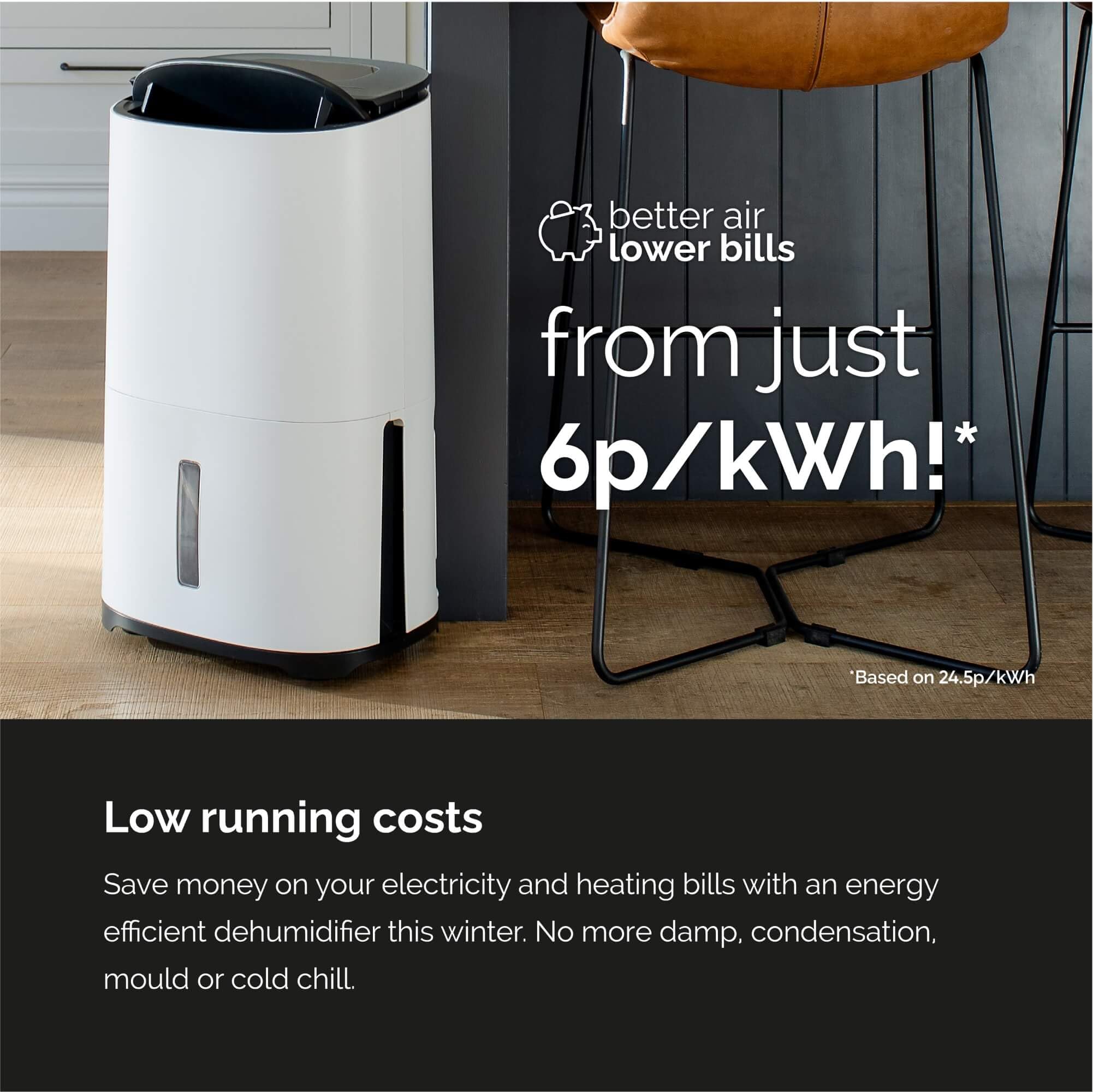 Two 25L Dehumidifier & HEPA H13 Air Purifier, Low Energy, Low Noise, Wi-Fi Meaco App, Smart humidity mode, Laundry mode, removes moisture in larger homes, 5x year warranty